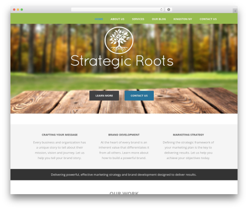Optimizer PRO best WordPress theme - strategicroots.com Optimizer PRO best WordPress theme - strategicroots.com