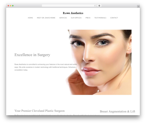 WordPress theme aaa-davidrowe - roweaesthetics.com