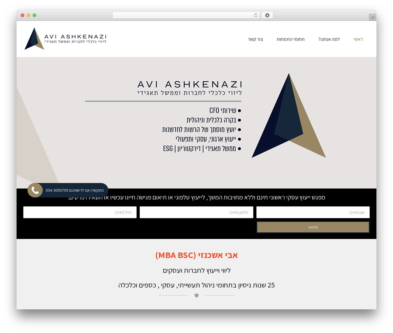 Buzz top WordPress theme - moneyguard.co.il
