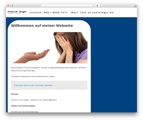 Responsive WordPress template free download - tonisinger.de