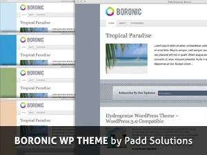 Theme WordPress Boronic WordPress Theme by Padd Solutions