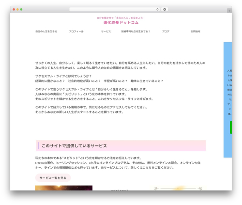 St pv monitor WordPress plugin - shinka-seityou.com
