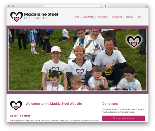 WordPress theme DynamiX - maddysteeltrust.com