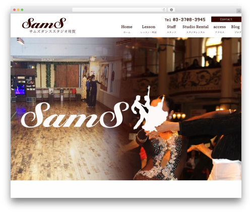 Themify Basic theme WordPress - sams-ds.com