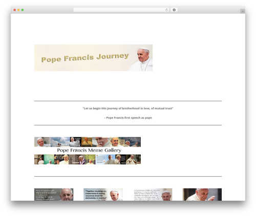 Visitors traffic real time statistics pro WordPress plugin - popefrancisjourney.com