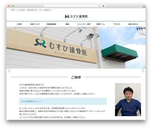 Lightning g3 evergreen WordPress plugin - musubi-sekkotsu.com