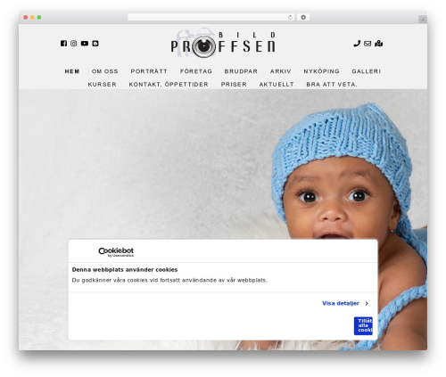 CMS cmsvrx system WordPress theme - bildproffsen.com