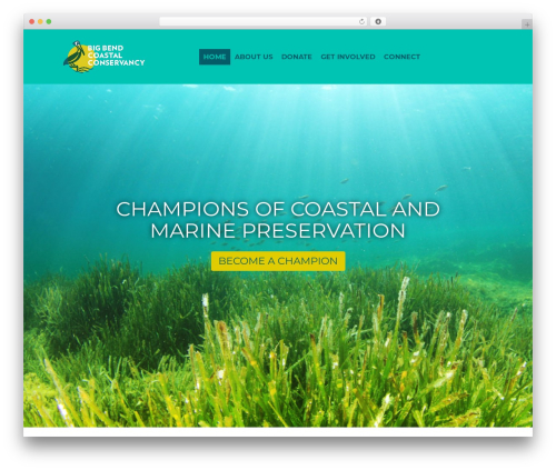 BBCC Theme WordPress theme design - bigbendcoastalconservancy.org
