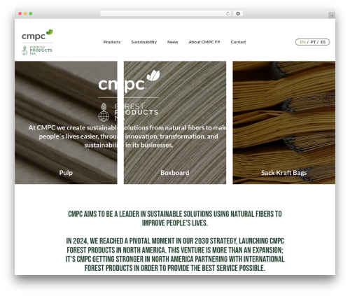 WordPress theme Hello Elementor - cmpcfp.com