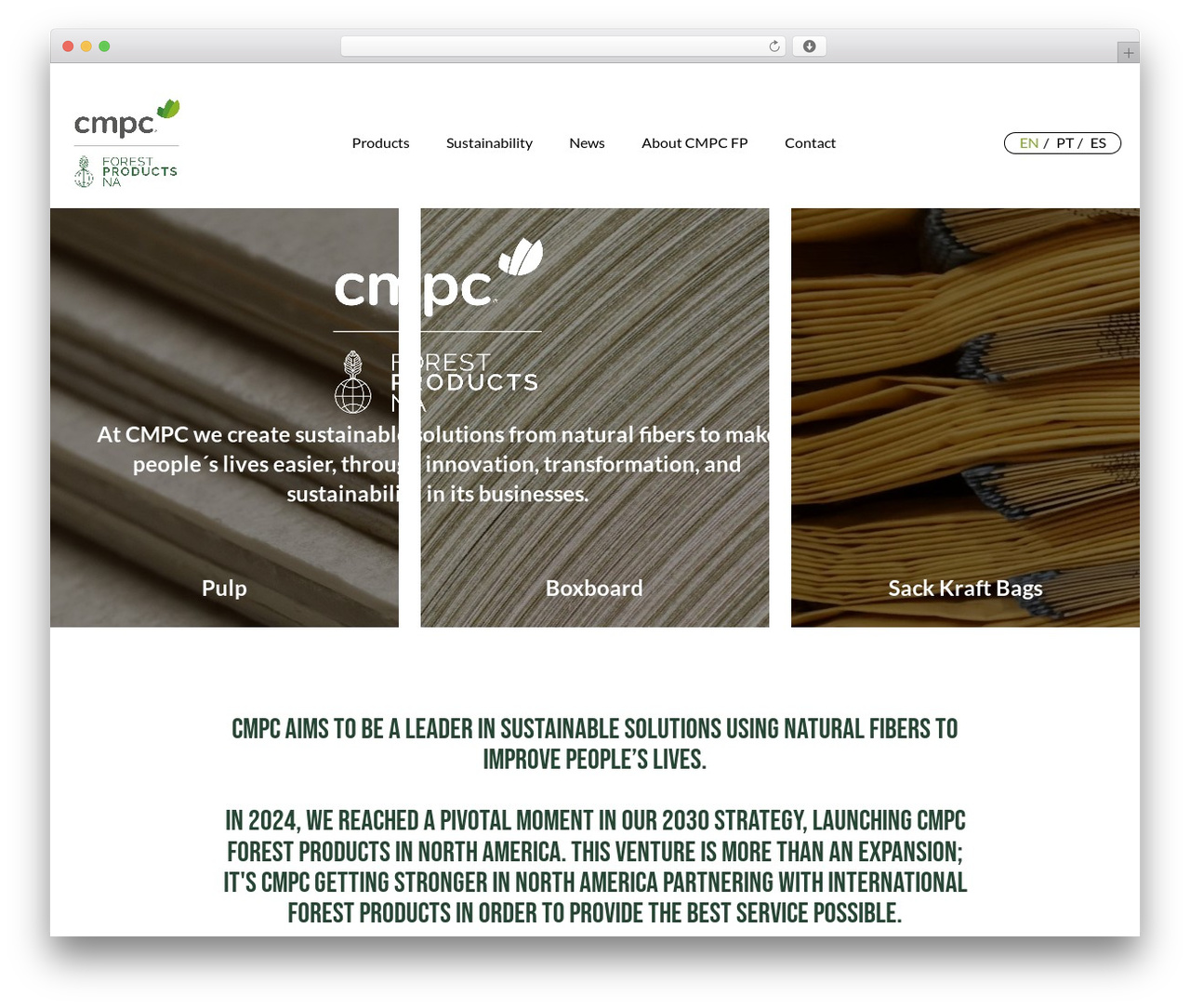 WordPress theme Hello Elementor - cmpcfp.com