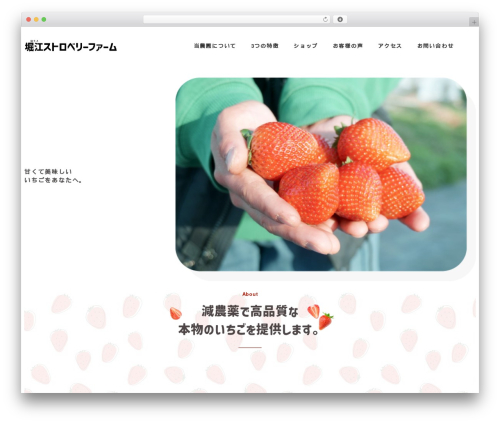 Ruijinen block patterns WordPress plugin - horie-strawberry.com