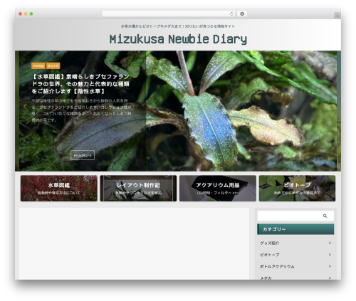 St blocks WordPress plugin - mizukusanewbie.com