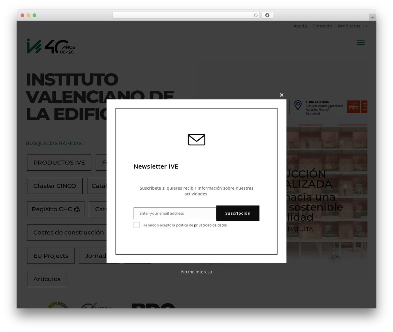 Divi theme WordPress - www.five.es Divi theme WordPress - www.five.es