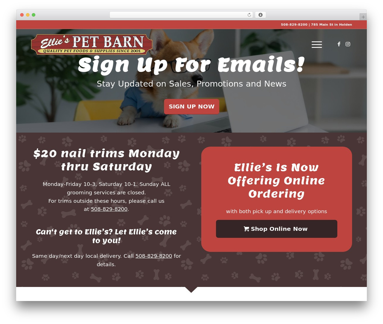 Enfold WordPress store theme - elliespetbarn.com Enfold WordPress store theme - elliespetbarn.com