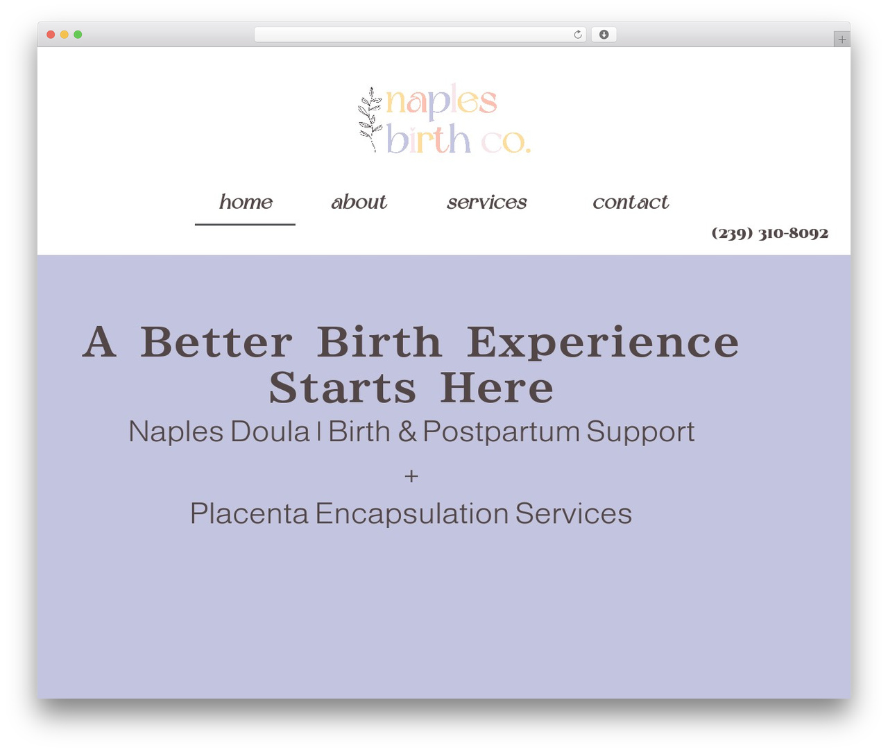 Hello Elementor WordPress theme - naplesbirth.com