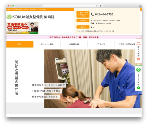 Selfull WordPress theme - ebisuseikotsuin.com