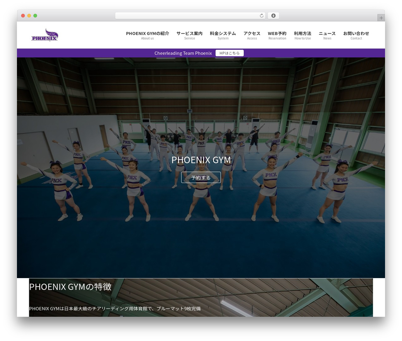 WordPress theme Lightning Pro - phoenixgym-cheer.com