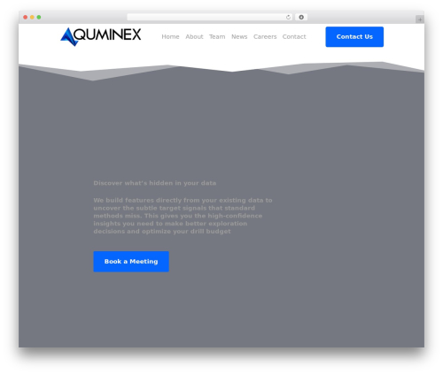 WordPress theme Multiflex - quminex.com