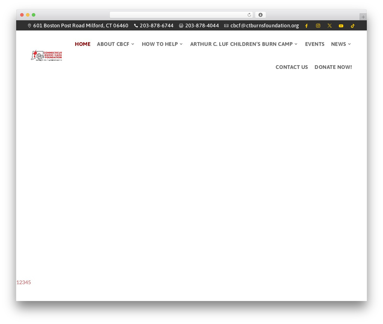 WordPress website theme Divi - ctburnsfoundation.org
