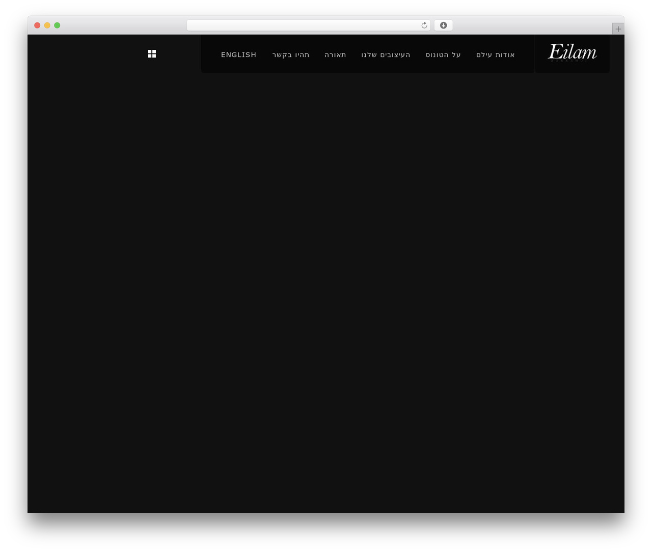 DK WordPress theme - eilamworkshop.com DK WordPress theme - eilamworkshop.com