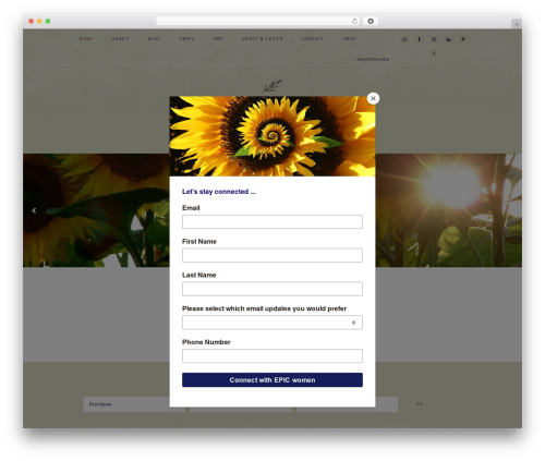 WordPress theme Market Theme - epicwomen.org