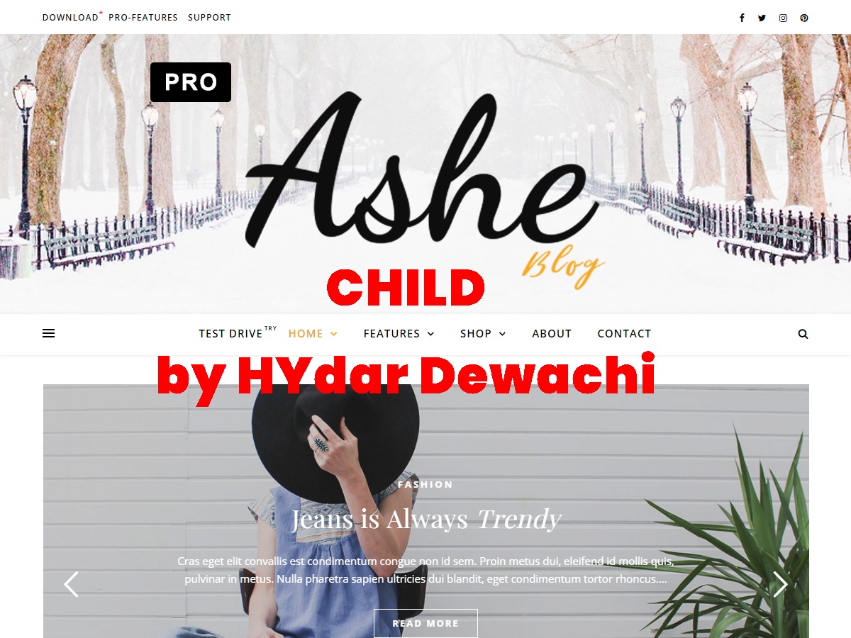 Ashe Pro Child theme WordPress