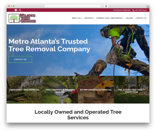 Reach Local WordPress theme for business - milamtreeservices.com