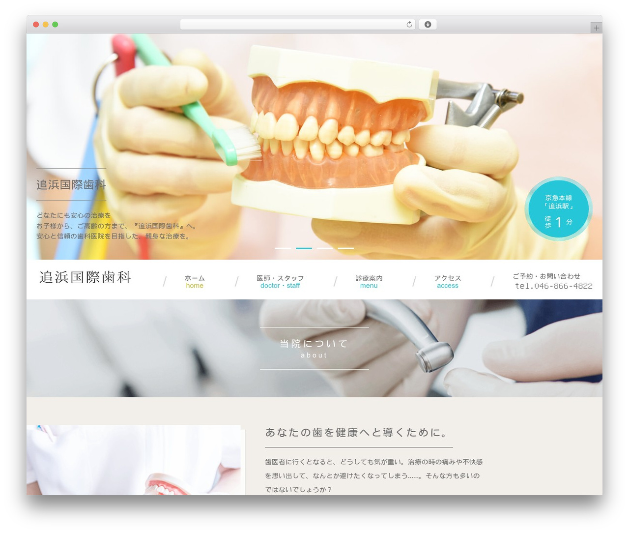 WordPress theme 追浜国際歯科 - oppamakokusai.com WordPress theme 追浜国際歯科 - oppamakokusai.com