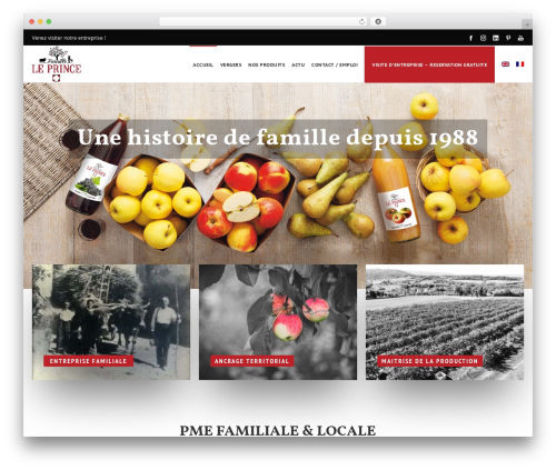Dfd extensions WordPress plugin - thomasleprince.fr