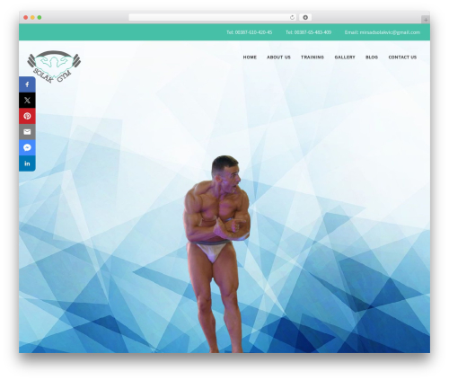 E4K Framework WordPress theme design - solak-gym.com