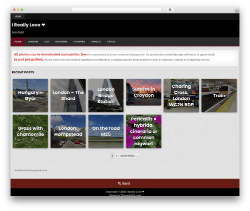 WordPress theme GridRead - ireallylove.info WordPress theme GridRead - ireallylove.info