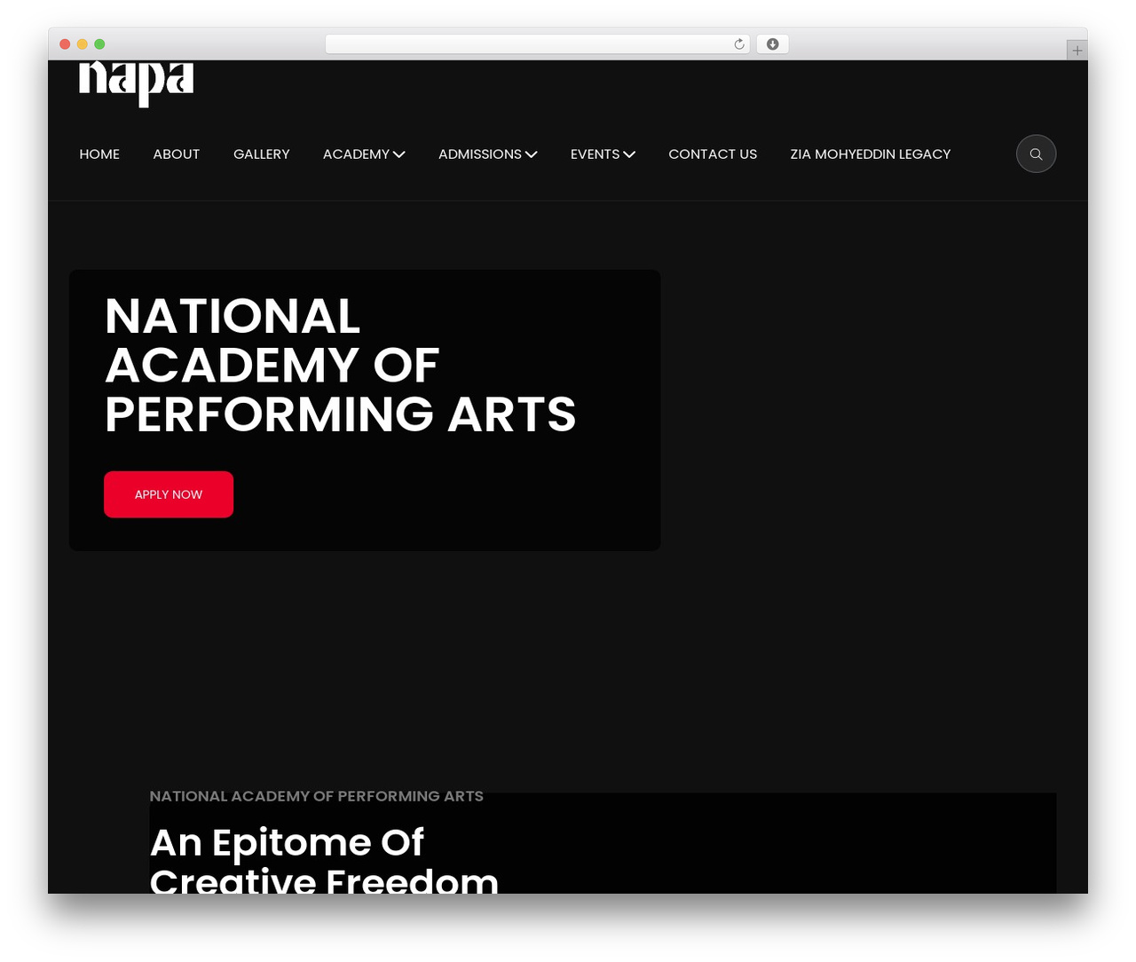 Danza Child WordPress theme - napa.org.pk Danza Child WordPress theme - napa.org.pk