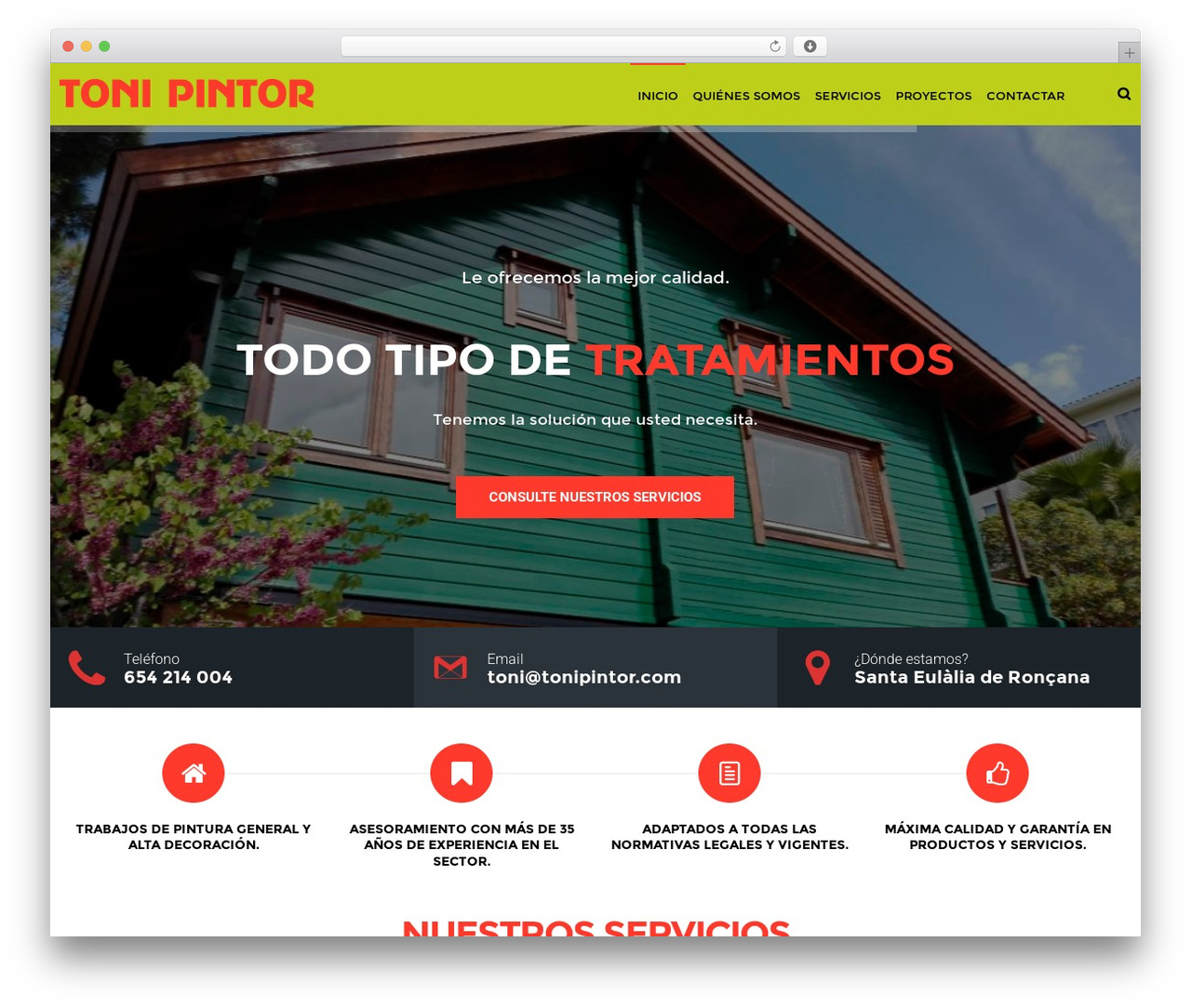 DFD Native top WordPress theme - tonipintor.com