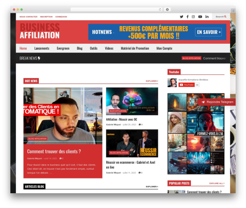 FlatNews WP theme - business-affiliation.com