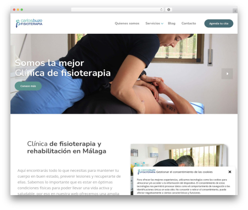 Physio-qt theme WordPress - carlosbuzofisioterapia.com