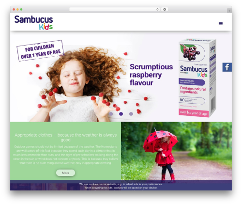 sambu WordPress theme - sambucuskids.com