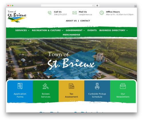 Theme WordPress Hello Elementor - townofstbrieux.com