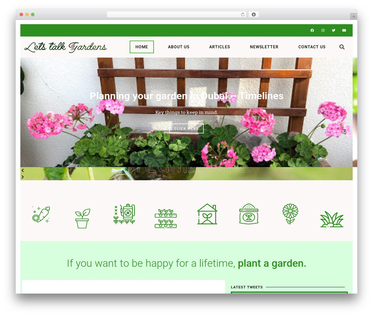 Theme WordPress Hello Elementor - letstalkgardens.com Theme WordPress Hello Elementor - letstalkgardens.com