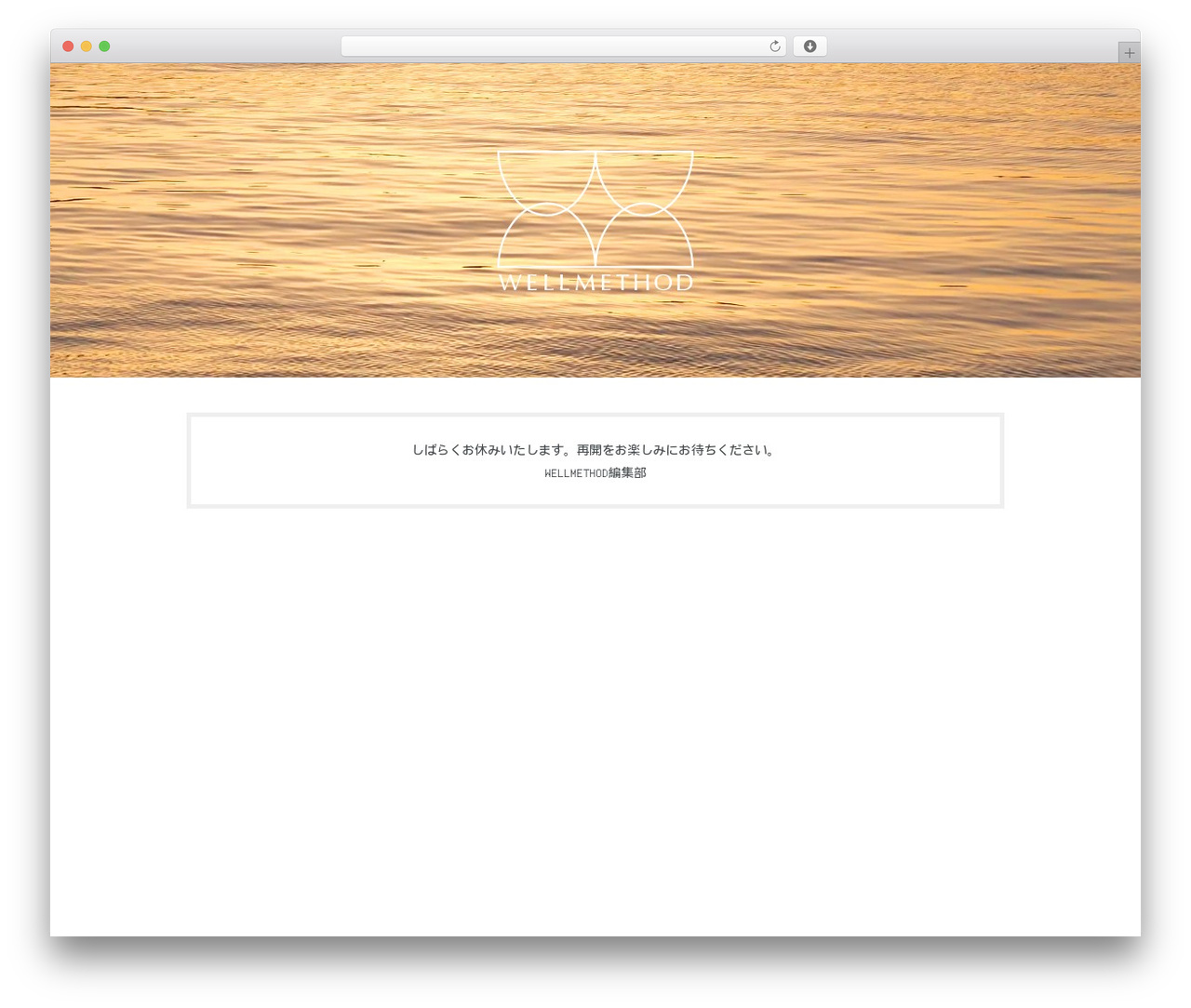 Theme WordPress WELLMETHOD - wellmethod.jp