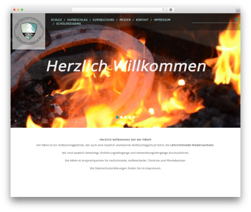 Cherry lazy load WordPress plugin - nbvh.net