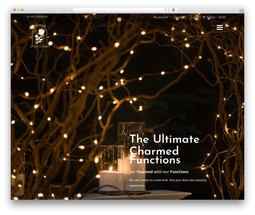 Optimizer PRO top WordPress theme - charmedfunctions.com