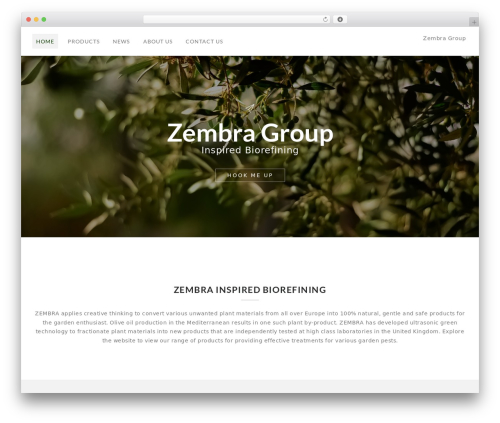 Saltwp WordPress theme - zembragroup.com
