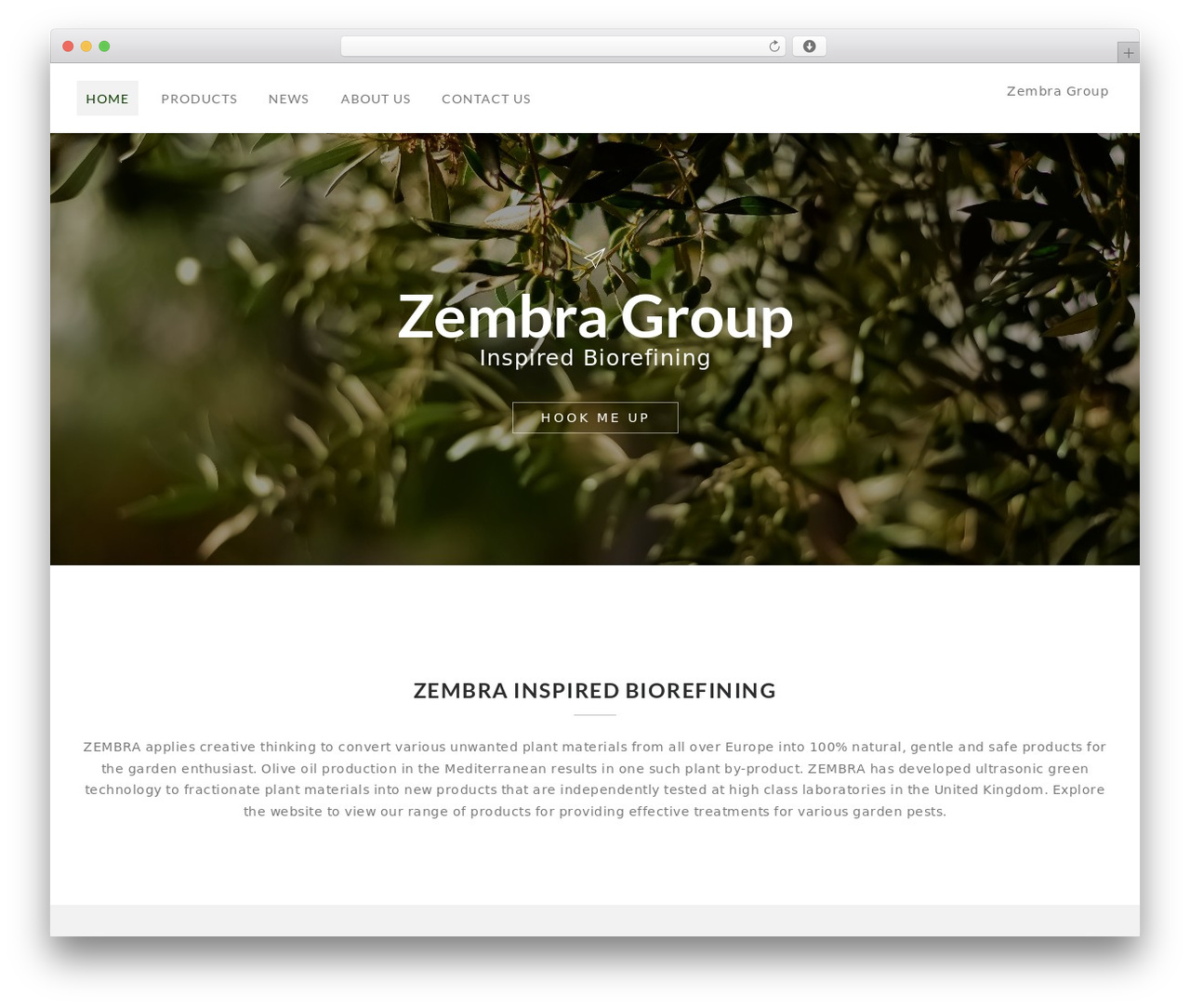 Saltwp WordPress theme - zembragroup.com Saltwp WordPress theme - zembragroup.com