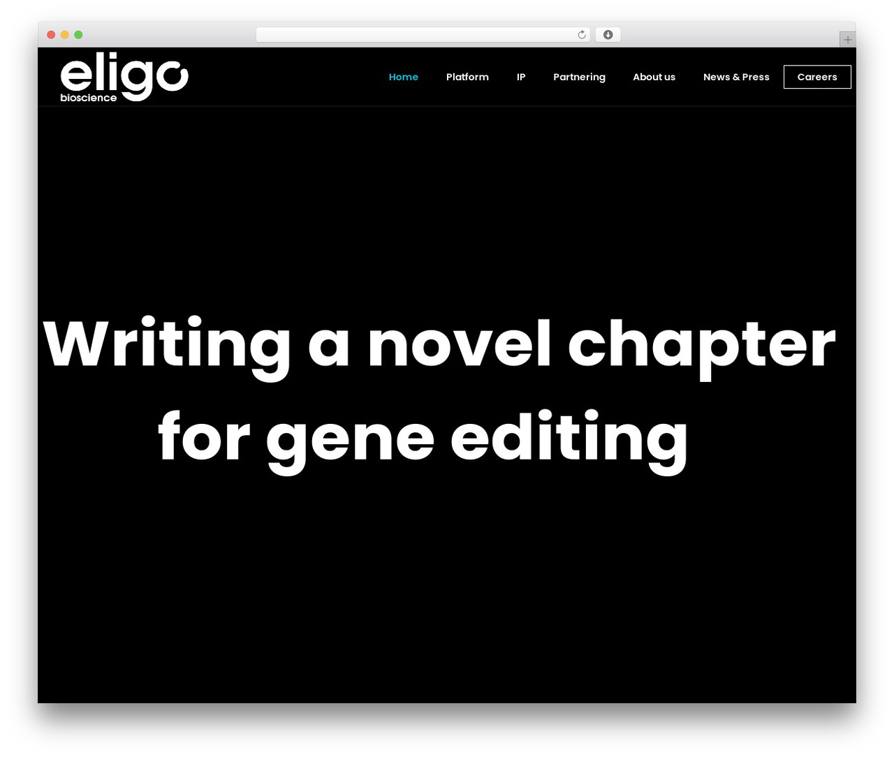 Theme WordPress Lambda - eligo.bio Theme WordPress Lambda - eligo.bio