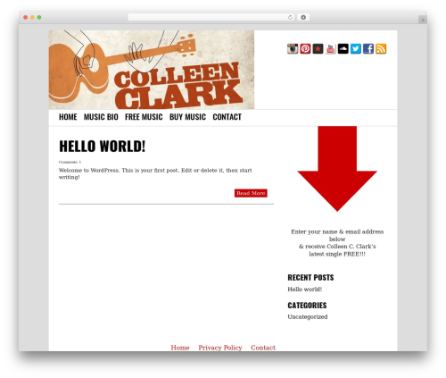 TunePipe Basic WordPress website theme - colleencclark.com