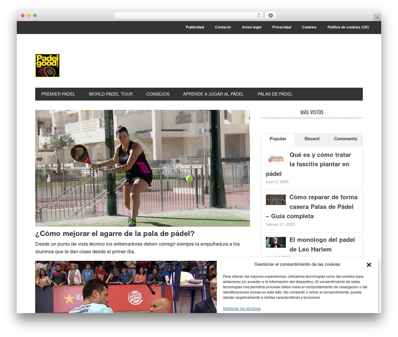 Genesis WordPress theme - padelgood.com Genesis WordPress theme - padelgood.com