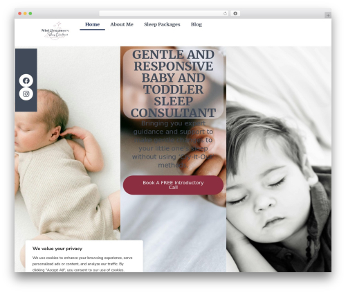 Elementor pro 2 WordPress plugin - minidreamerssleepconsultant.co.uk
