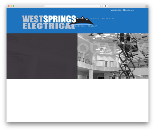 Divi WordPress theme - wsel.ca