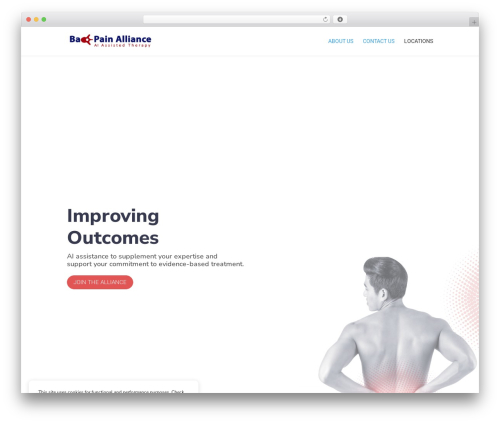 Divi WordPress theme - backpainalliance.com