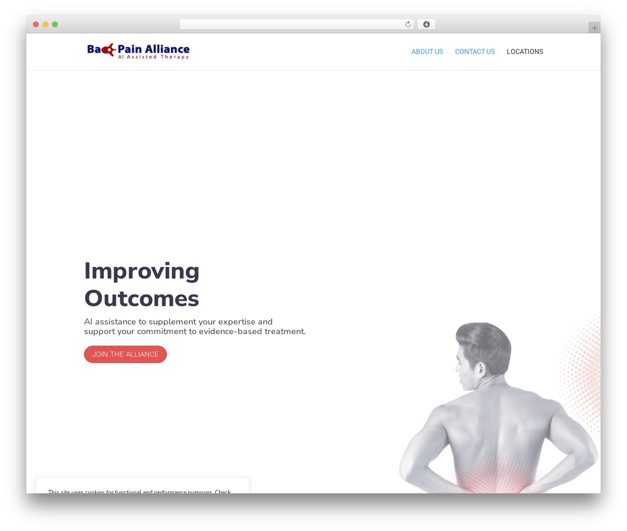 BPA WordPress theme - backpainalliance.com